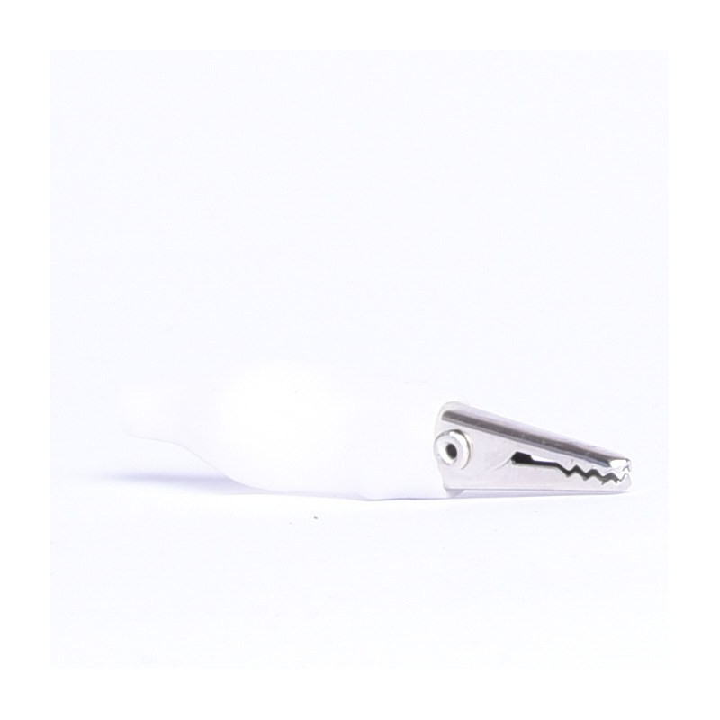 KROKODYLEK W IZOLACJI MAŁY BIAŁY