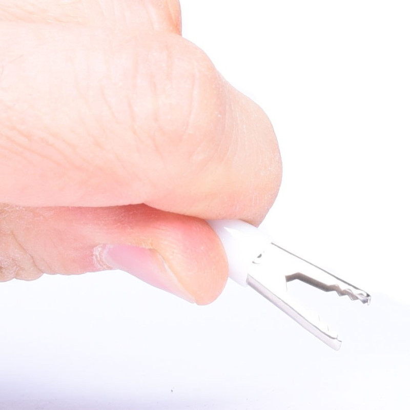 KROKODYLEK W IZOLACJI MAŁY BIAŁY