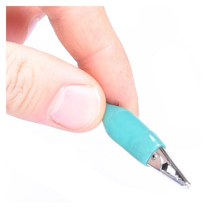 KROKODYLEK W IZOLACJI MAŁY ZIELONY