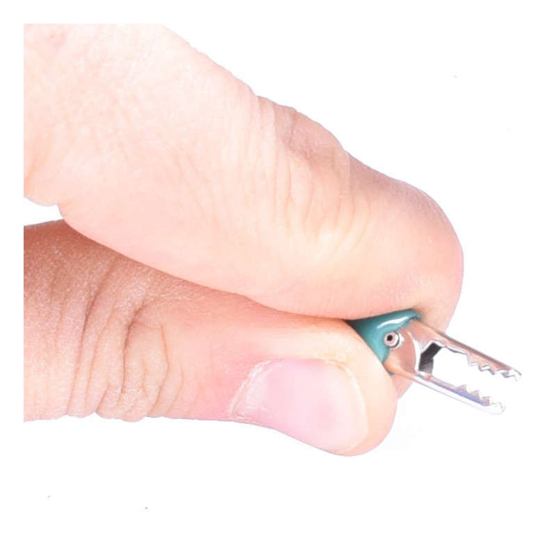 KROKODYLEK W IZOLACJI MAŁY ZIELONY