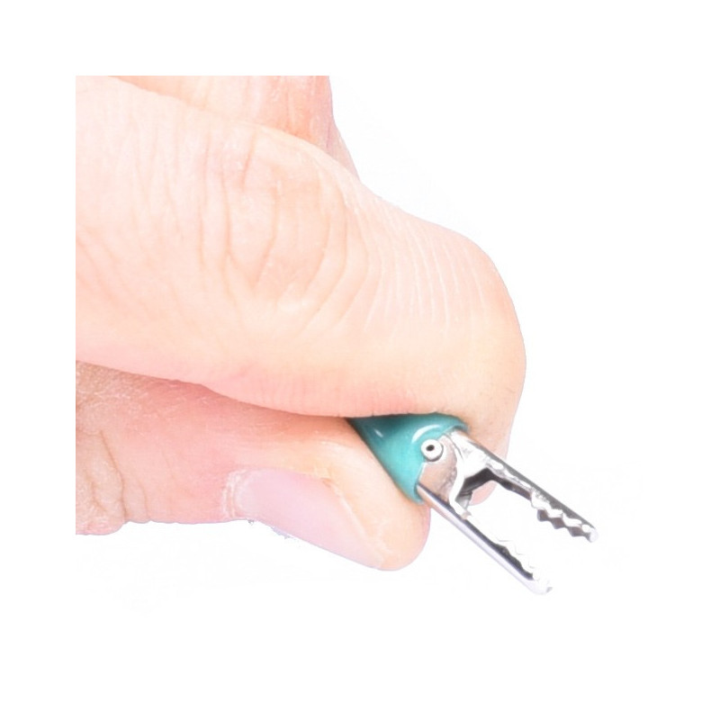 KROKODYLEK W IZOLACJI MAŁY ZIELONY