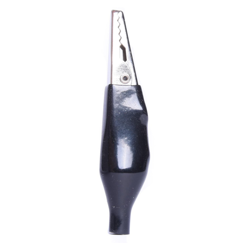 KROKODYL W IZOLACJI DUŻY CZARNY