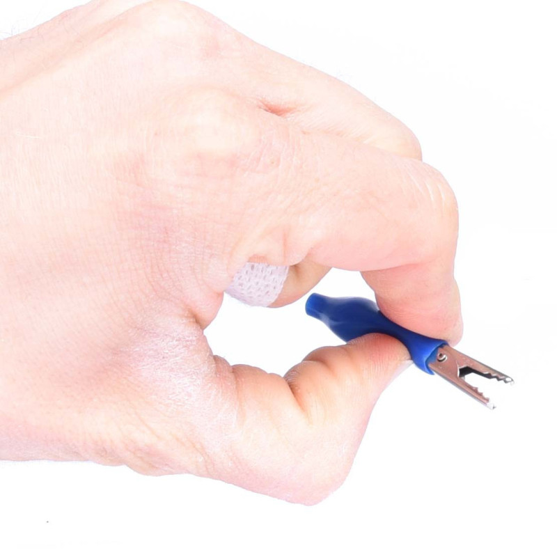 KROKODYLEK W IZOLACJI MAŁY NIEBIESKI