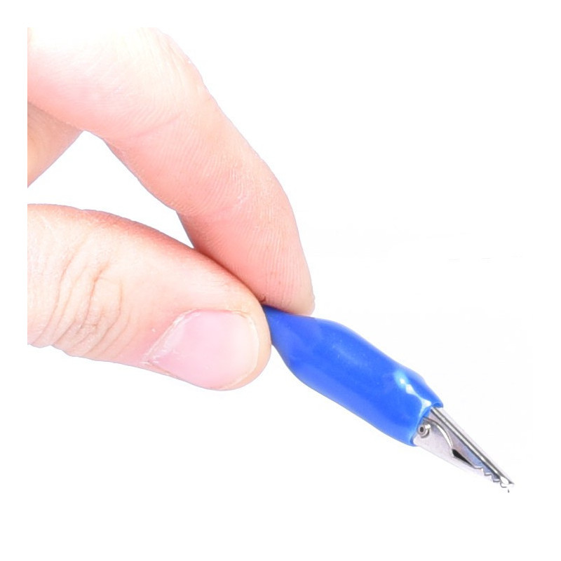 KROKODYLEK W IZOLACJI MAŁY NIEBIESKI