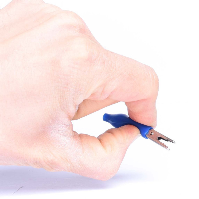 KROKODYLEK W IZOLACJI MAŁY NIEBIESKI