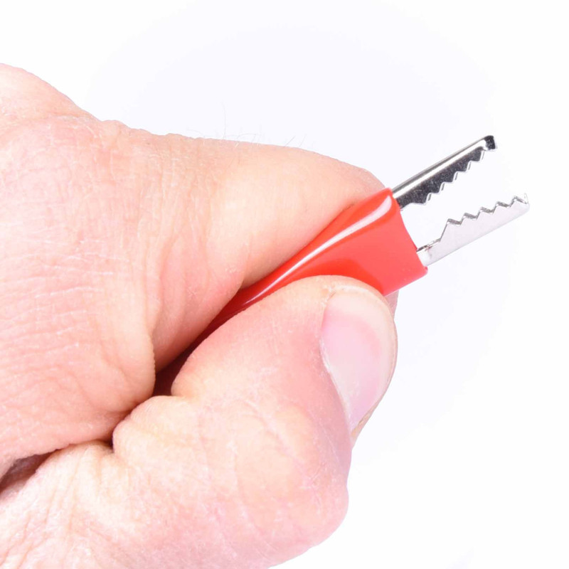 KROKODYL W IZOLACJI DUŻY CZERWONY