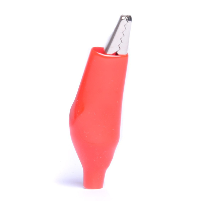 KROKODYL W IZOLACJI DUŻY CZERWONY