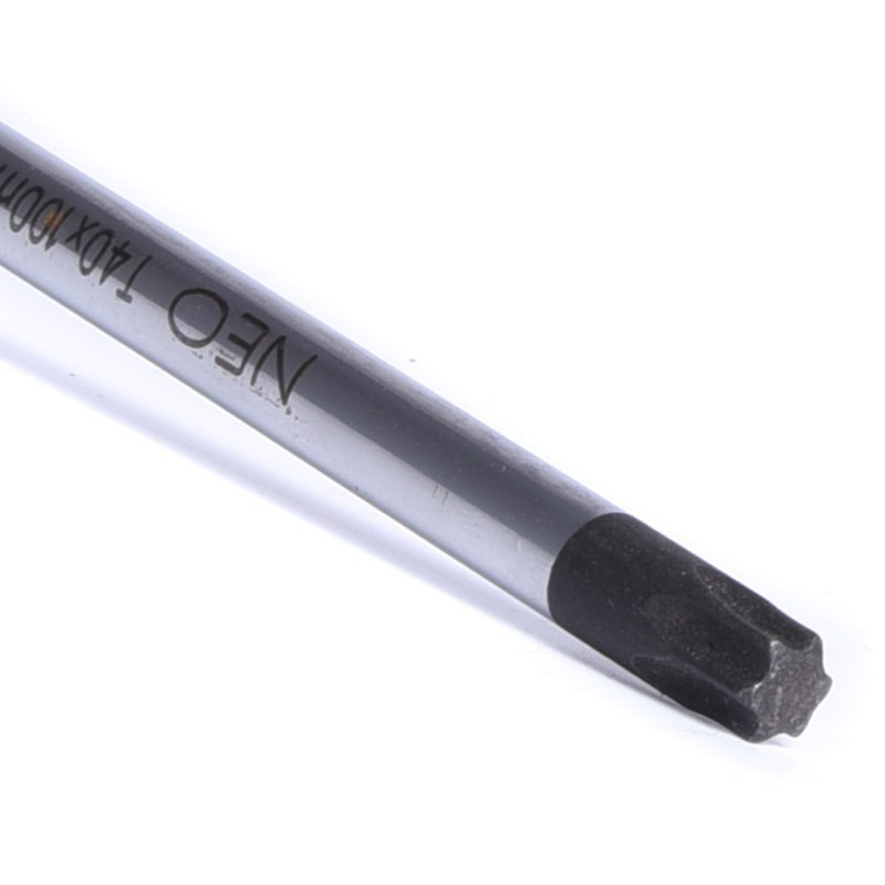 WKRĘTAK TORX T40x100mm NEO