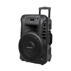 Aktywna kolumna głośnikowa (z 2 mikrofonami bezprzewodowymi UHF, SD, Bluetooth, FM, USB) 40 Watt