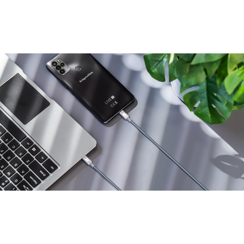 Kabel USB typu C - USB typu C 65W REBEL 100 cm