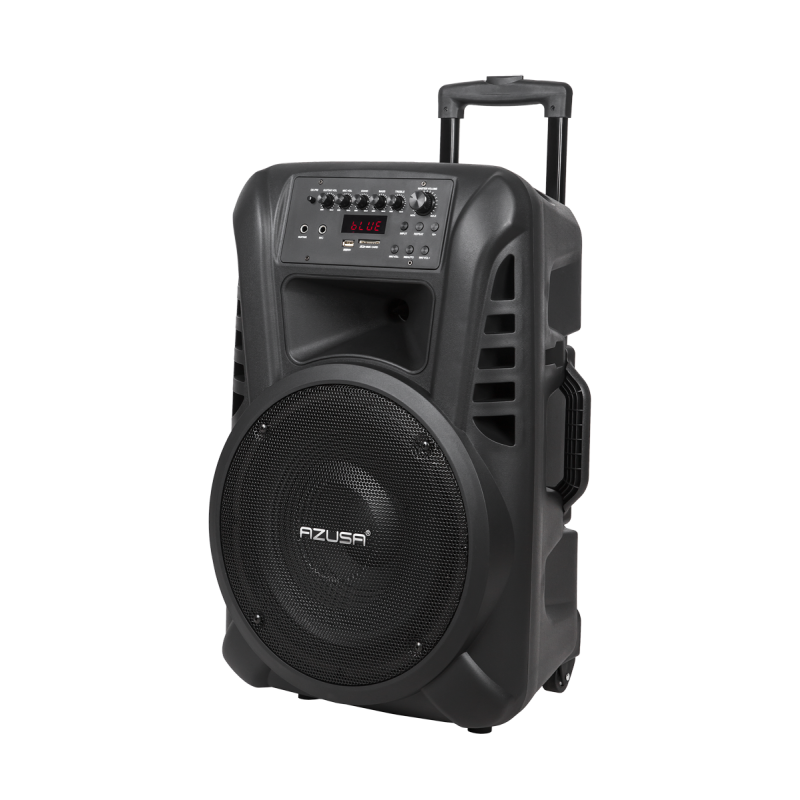 Kolumna aktywna ( z 2 mikrofonami bezprzewodowymi, SD, Bluetooth, USB) 12" 40W