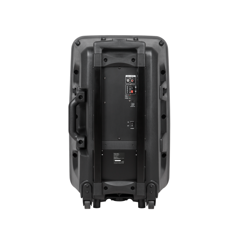 Kolumna aktywna ( z 2 mikrofonami bezprzewodowymi, SD, Bluetooth, USB) 12" 40W