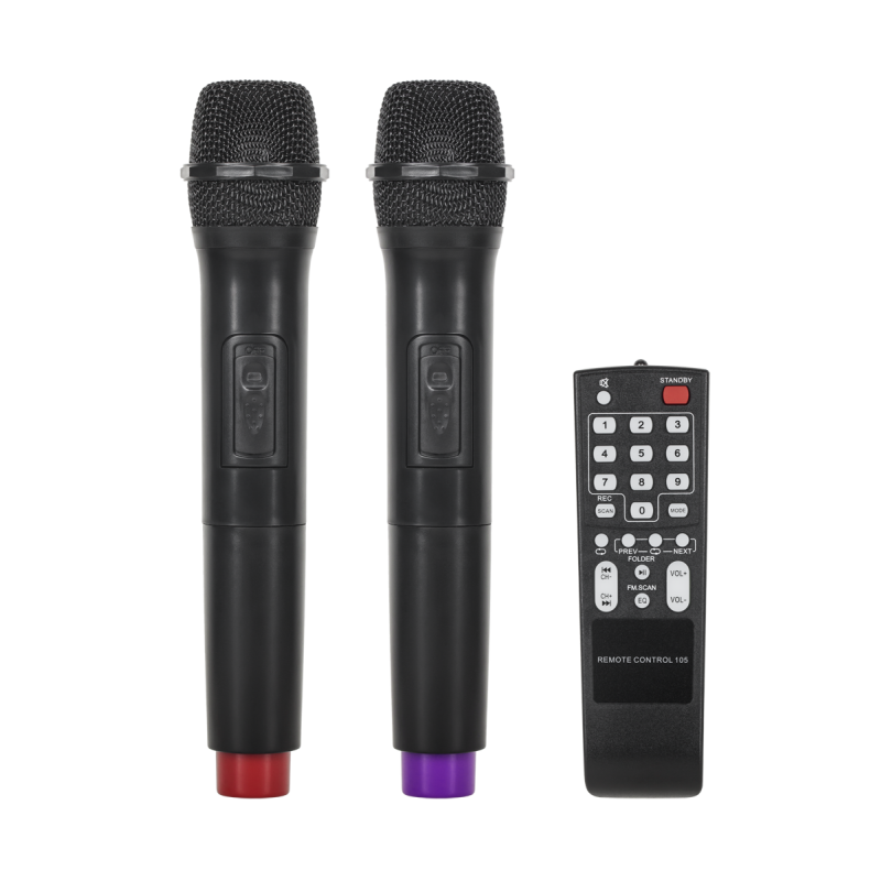 Kolumna aktywna ( z 2 mikrofonami bezprzewodowymi, SD, Bluetooth, USB) 12" 40W