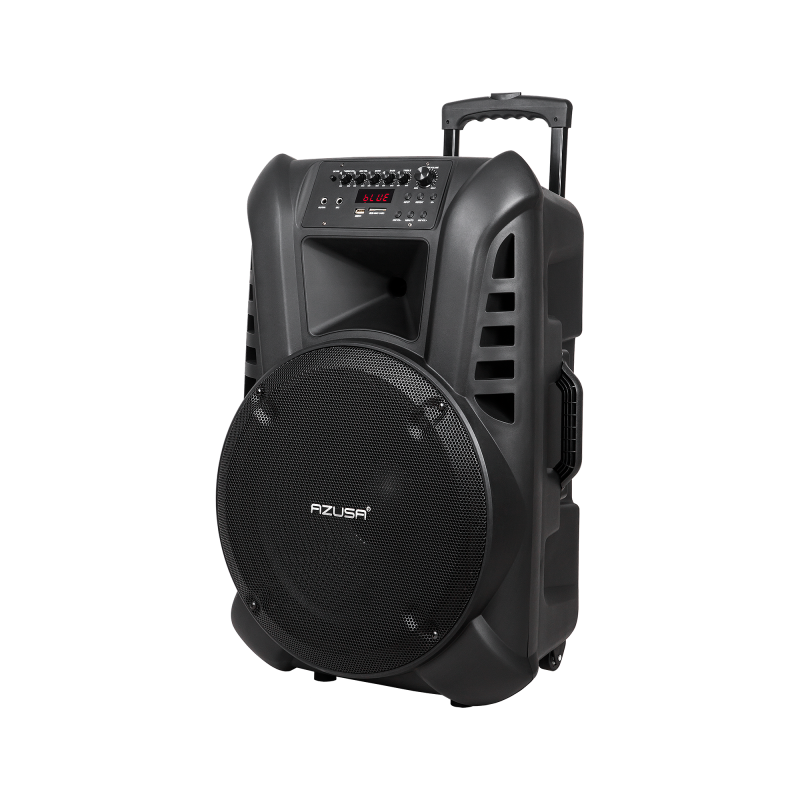 Kolumna aktywna ( z 2 mikrofonami bezprzewodowymi, SD, Bluetooth, USB) 15" 120W