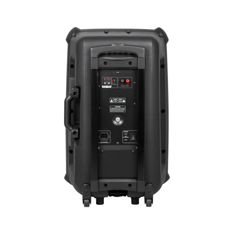 Kolumna aktywna ( z 2 mikrofonami bezprzewodowymi, SD, Bluetooth, USB) 15" 120W