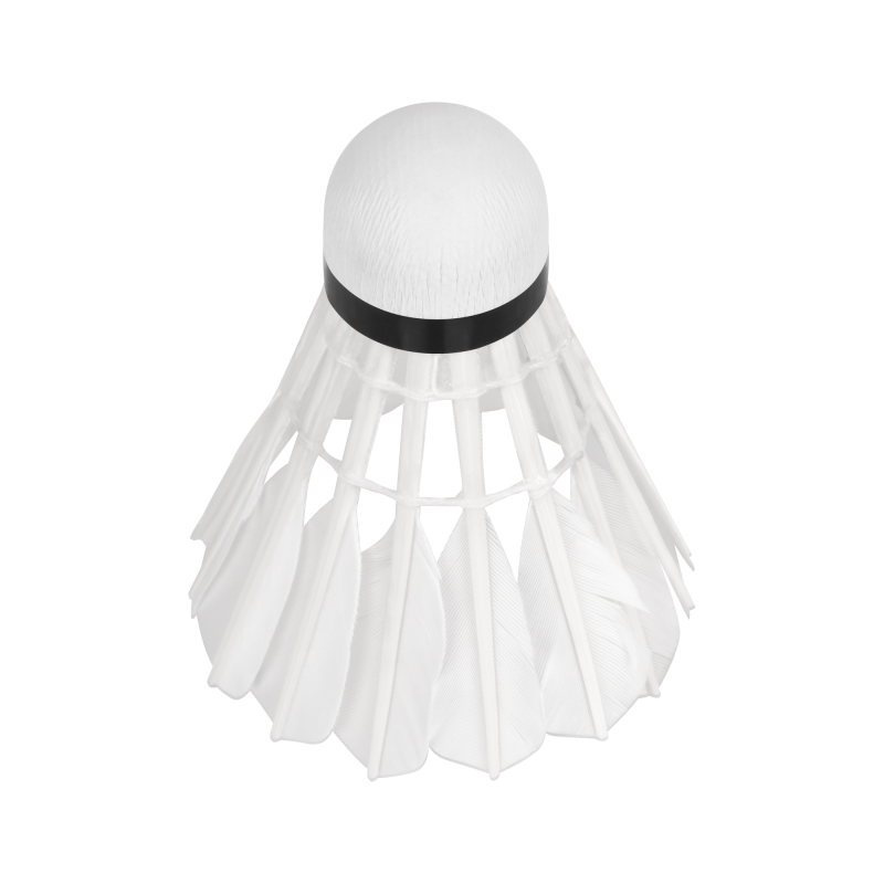 Lotki piórowe do badmintona z pierza gęsiego, tuba 6szt, REBEL ACTIVE