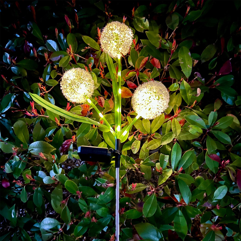 Ogrodowe ozdobne lampki solarne Rebel- czosnek ozdobny