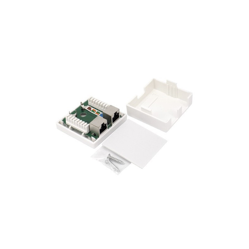 GNIAZDO 2XRJ45 FTP KAT. 5e NATYNKOWE D-LAN